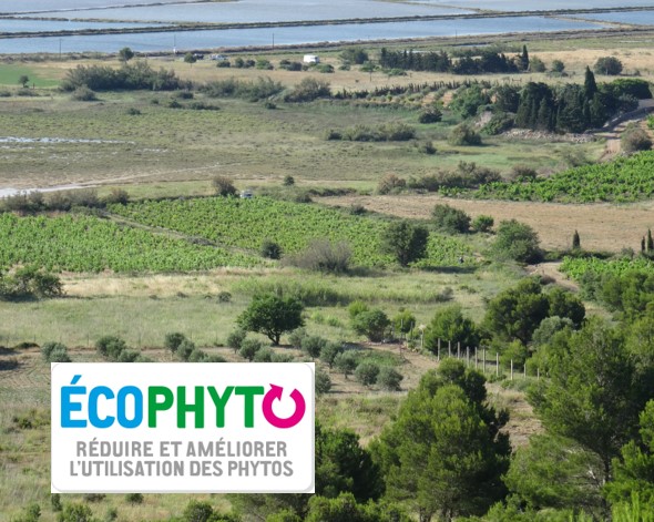 ecophyto recherche