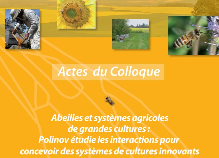 colloque polinov