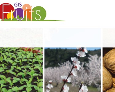 gis fruits