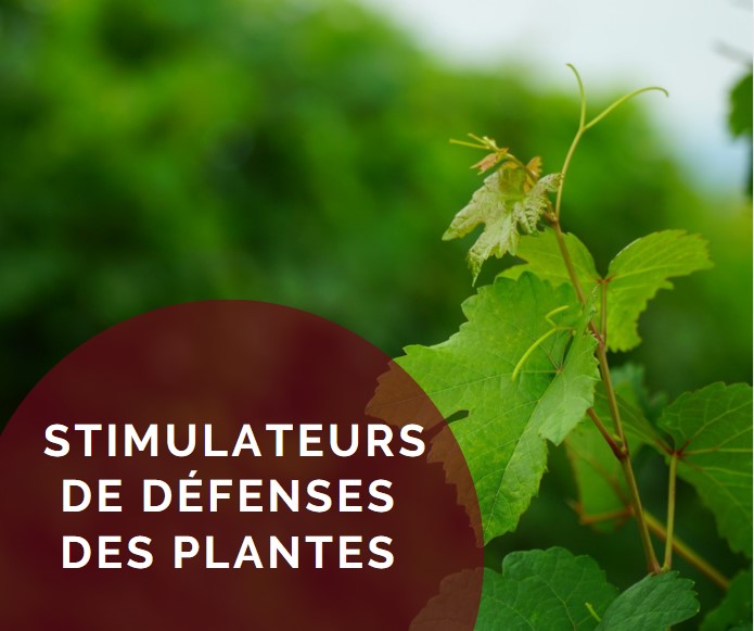 Stimulateurs de défenses des plantes
