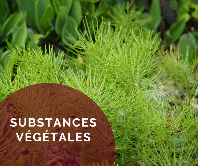 Substances végétales