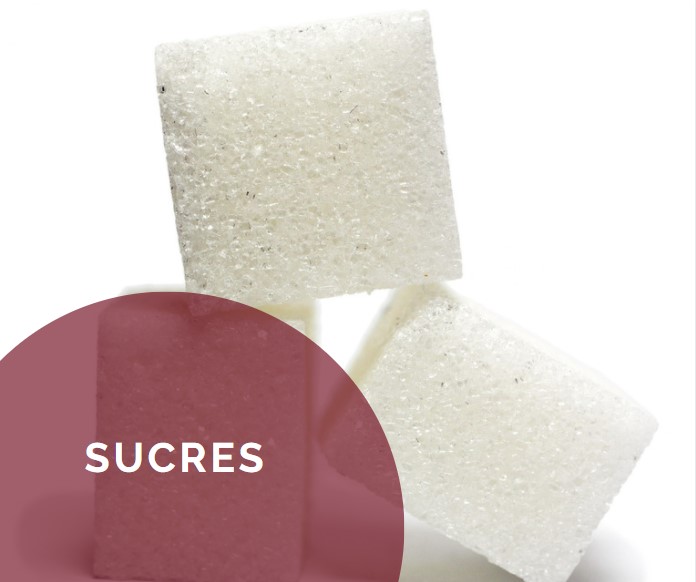 Sucres