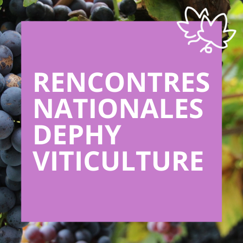 Rencontres nationales DEPHY Viticulture