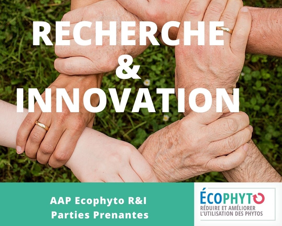 Séminaire intermédiaire de l'Appel à Projets de Recherche & Innovation "Pour et sur l’engagement des parties prenantes dans les filières et les territoires"