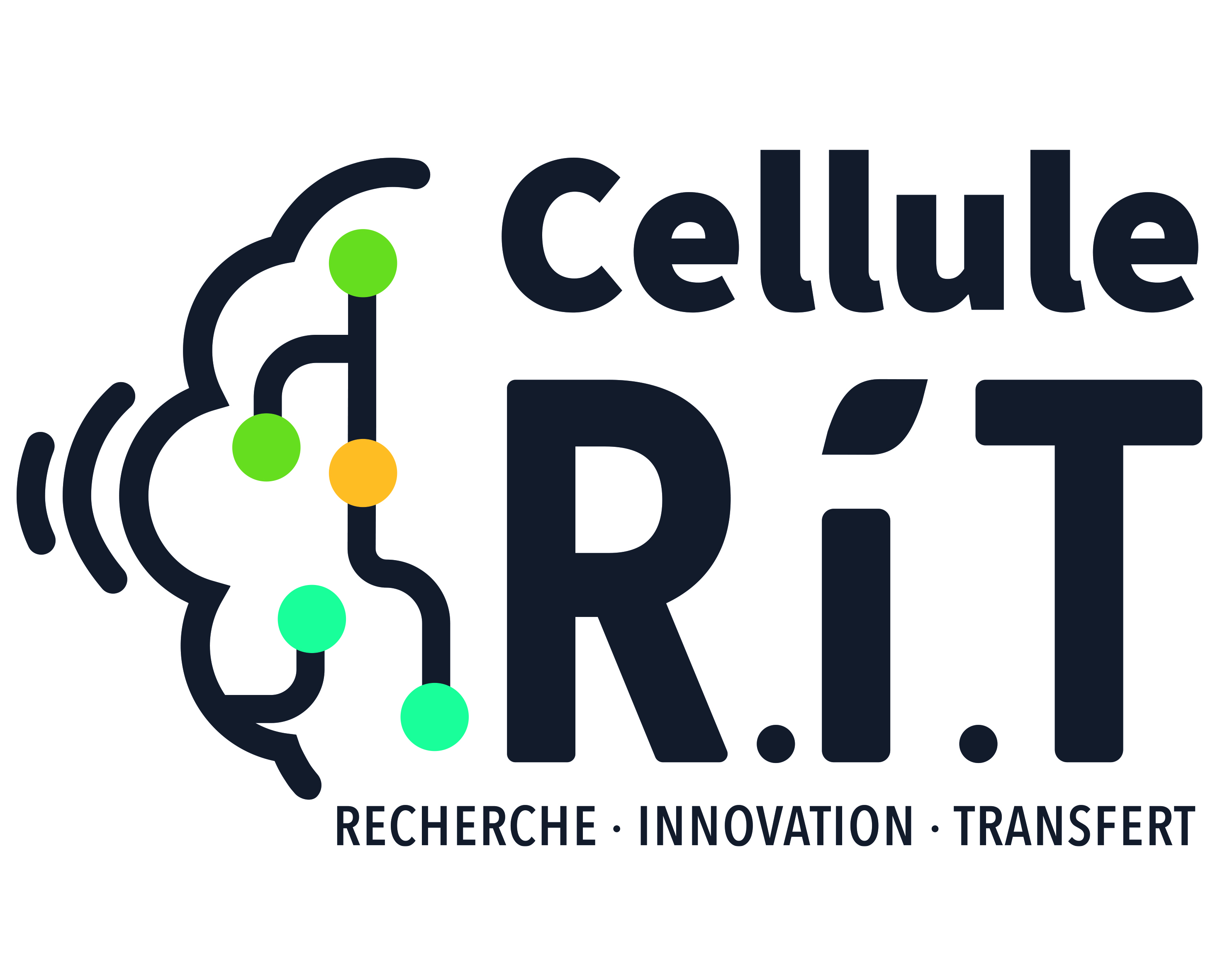 Cellule RIT