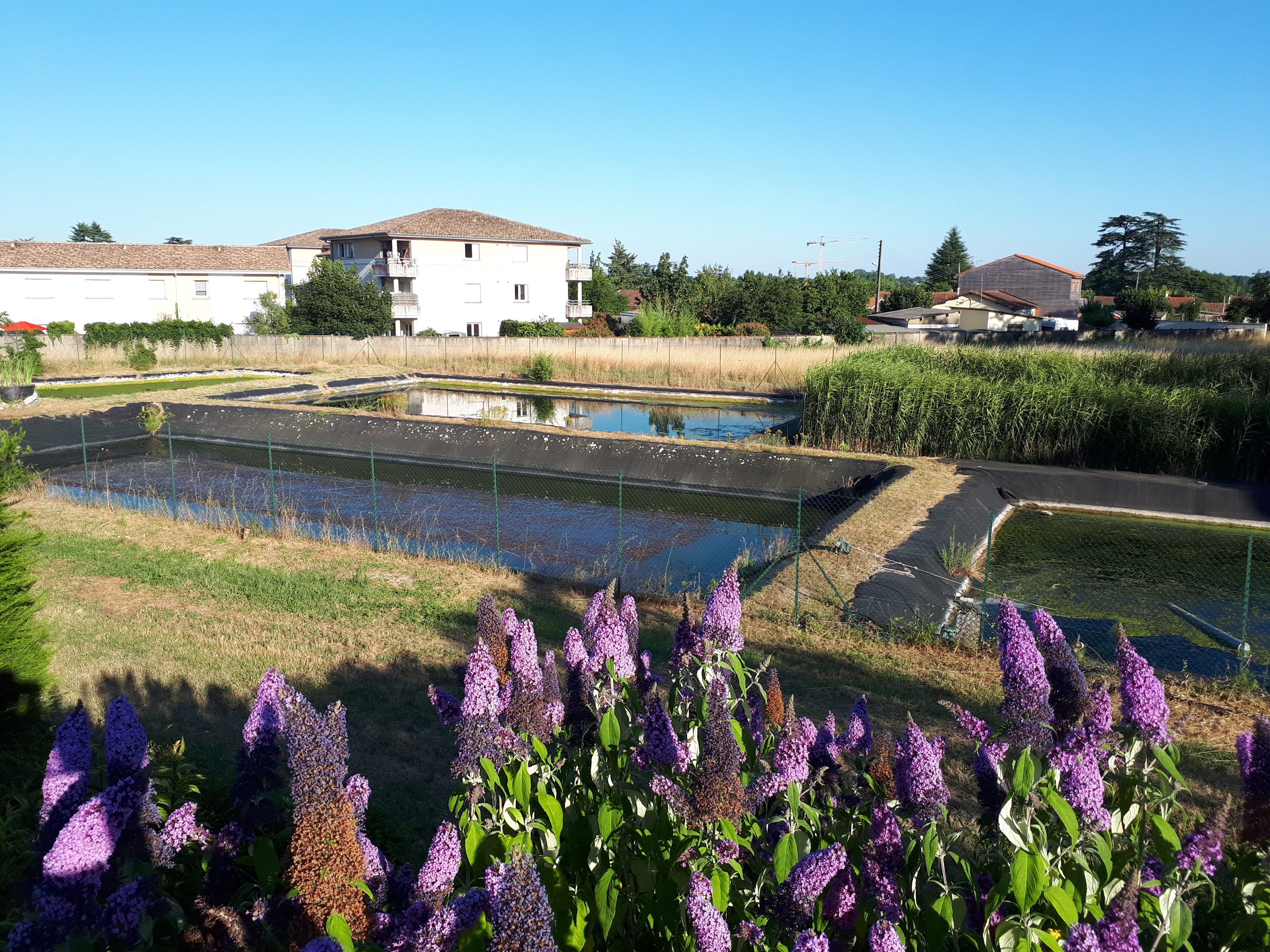 Bassins lagunage Astredhor Sud-Ouest