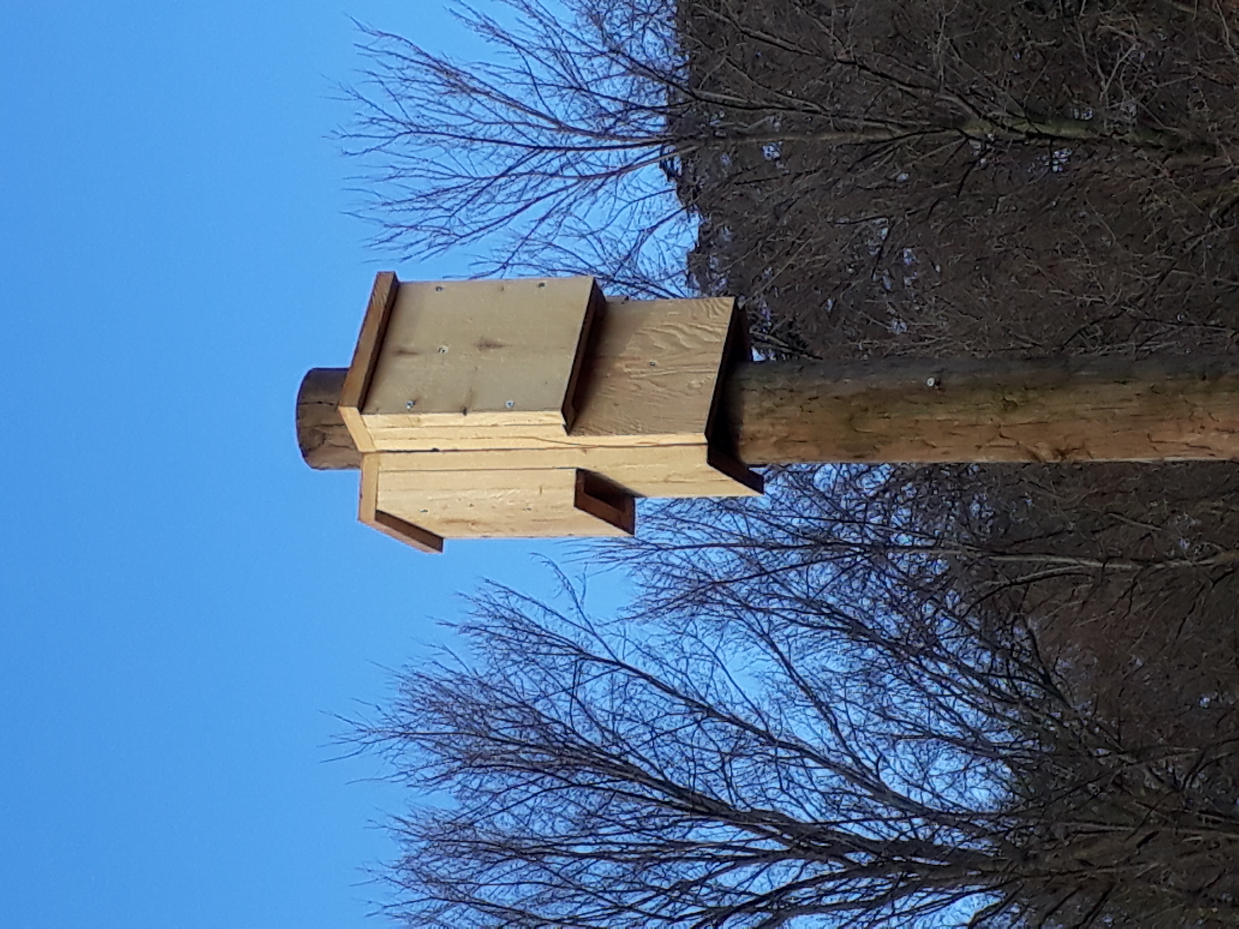 Abri à chauve-souris