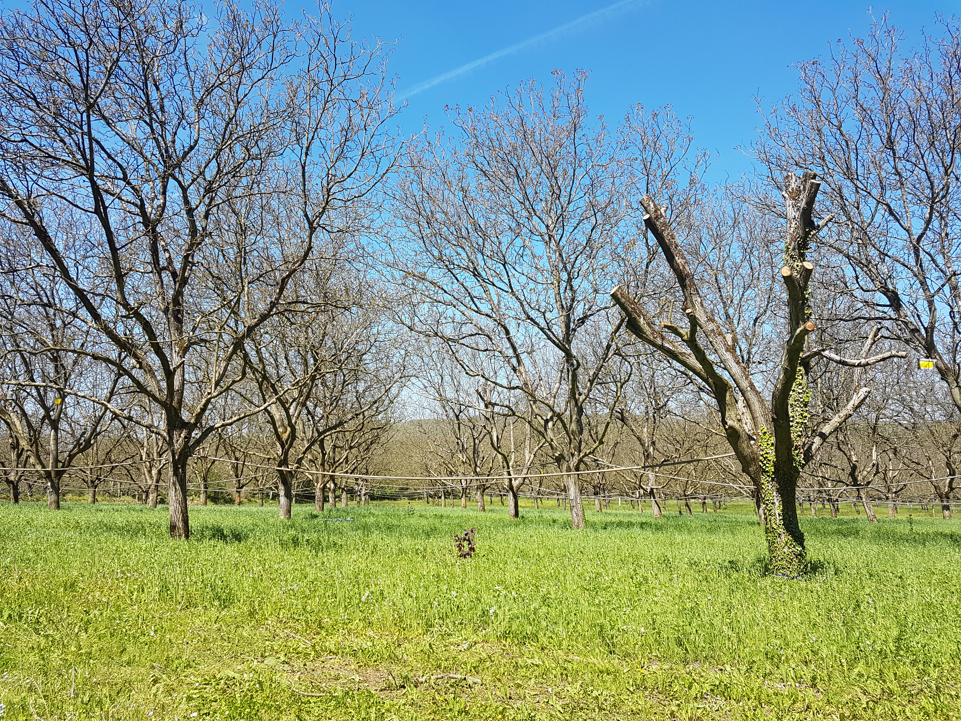Photo du système sysnoix (avril 2019)