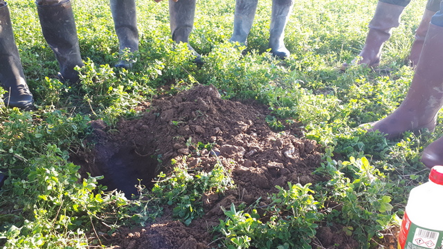 Personnes autour d'une étude de sol