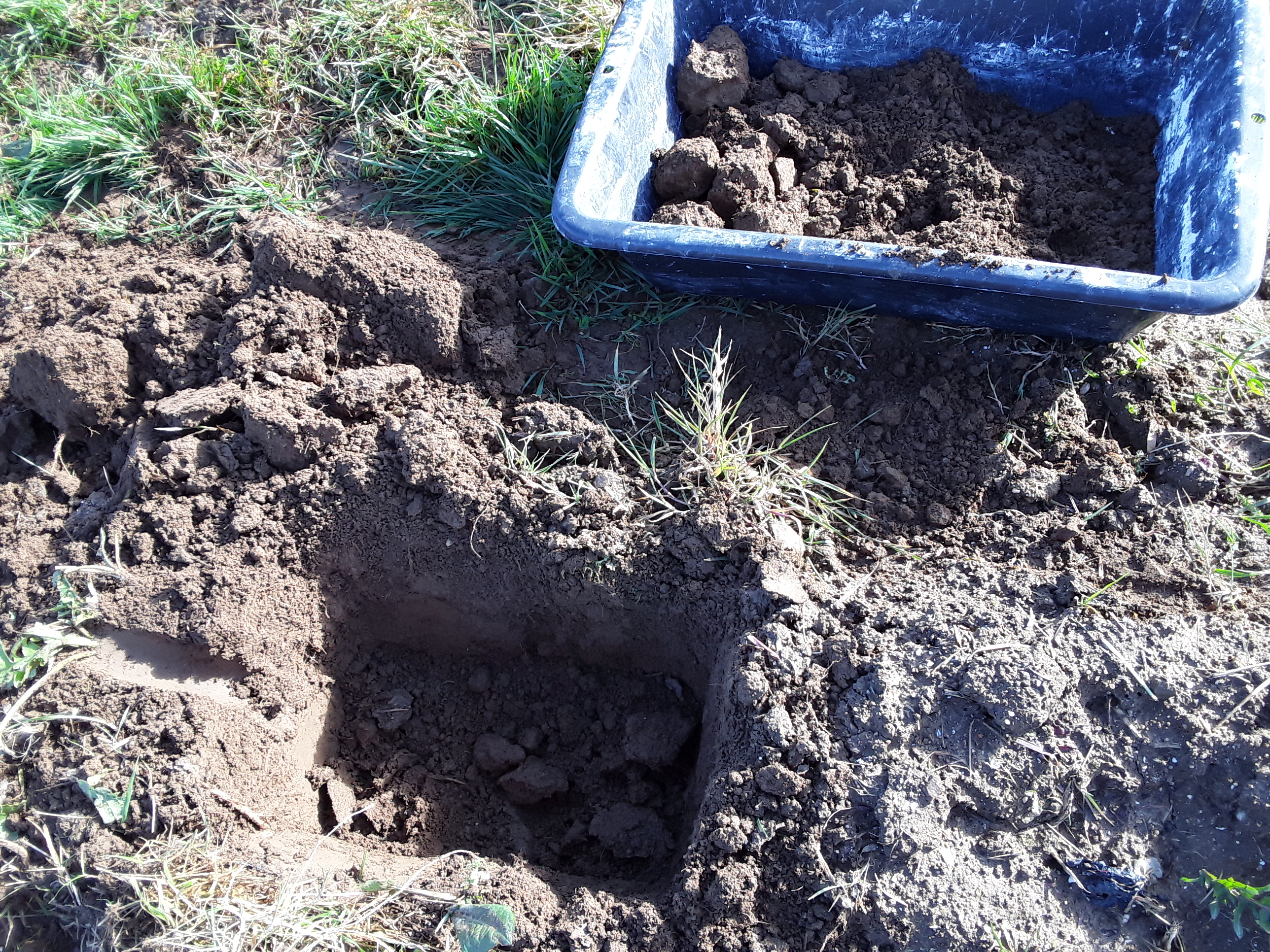 Drop test en mars 2020