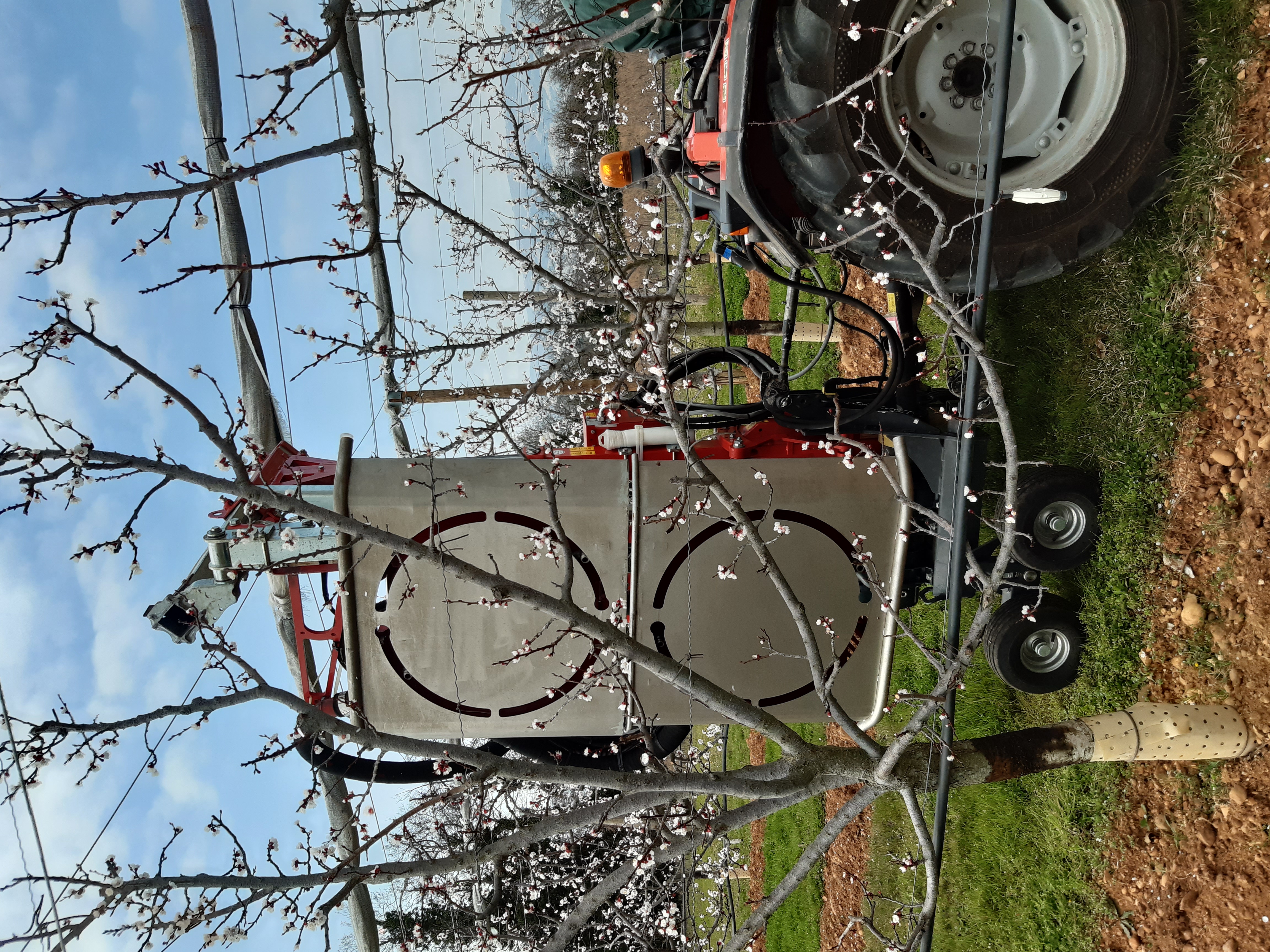 La conduite en palmette ouvre la porte à la mécanisation et à de nouvelles méthodes de protection