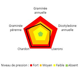 Graphique adventices