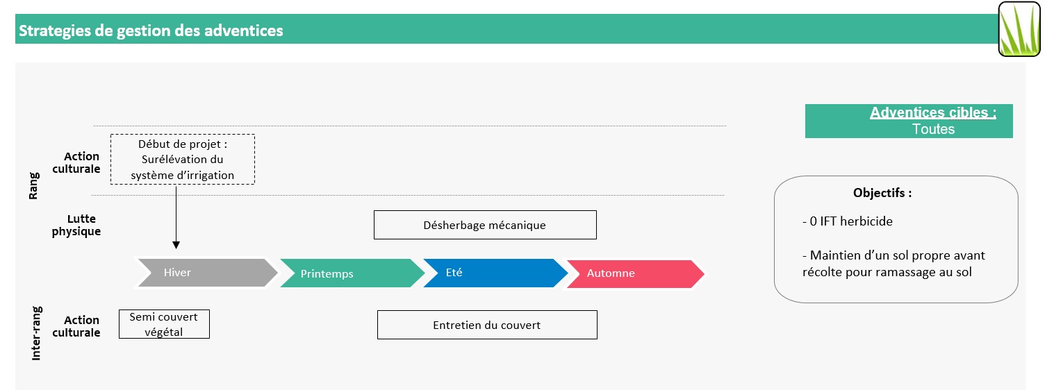 Schéma décisionnel
