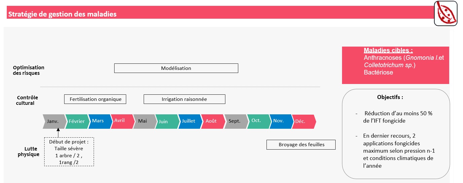 Schéma décisionnel