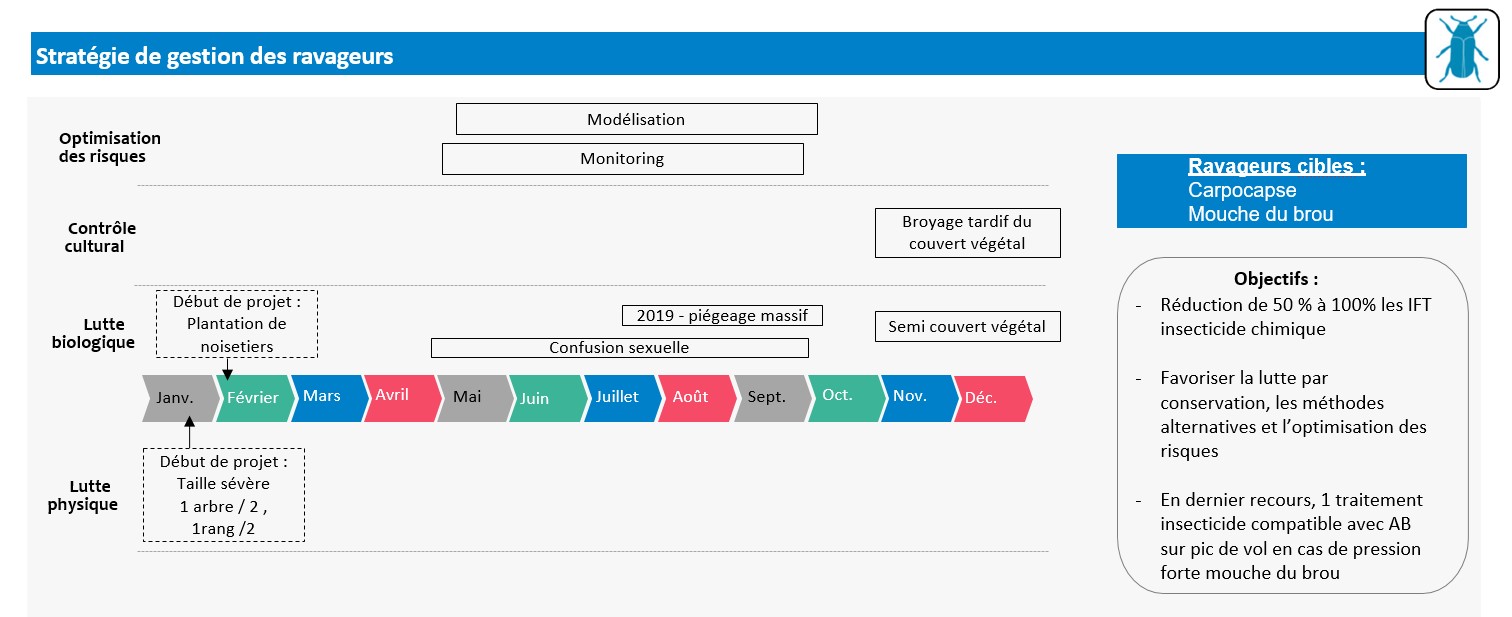 Schéma décisionnel