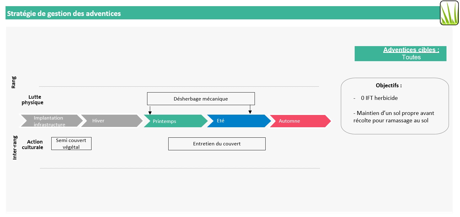 Schéma décisionnel