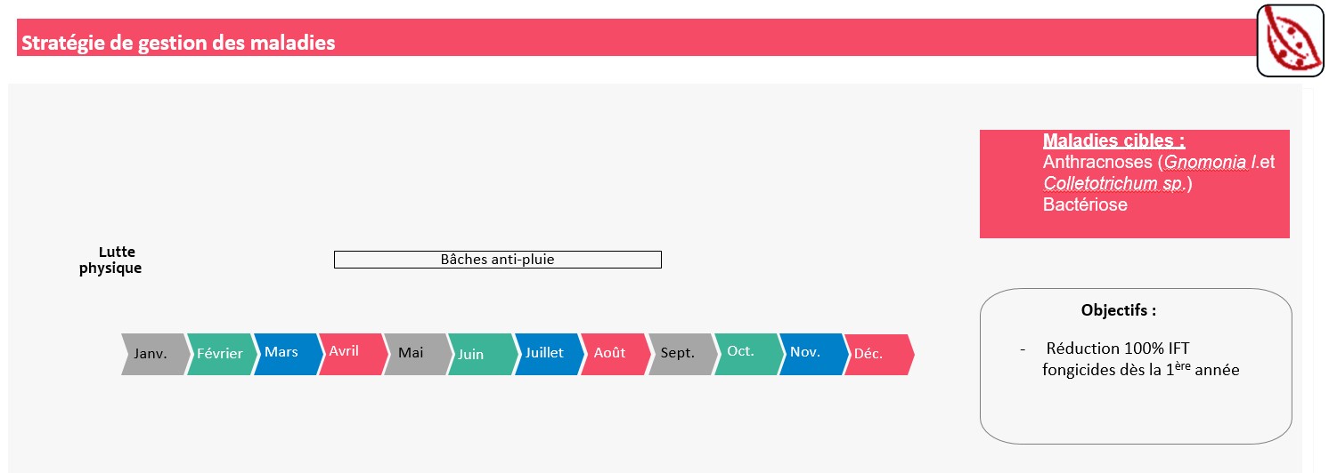 Schéma décisionnel