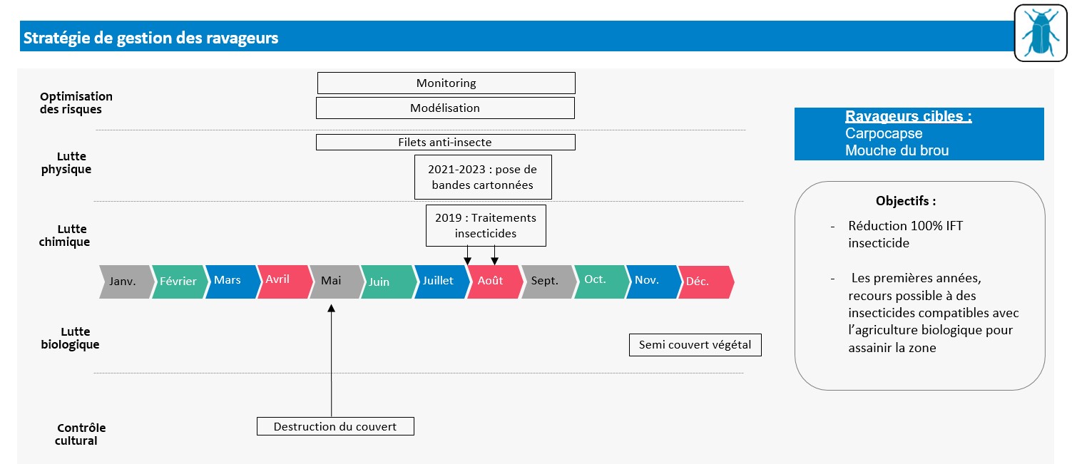 Schéma décisionnel