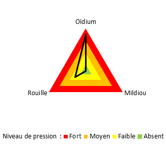 Maladies sur site ARMEFLHOR