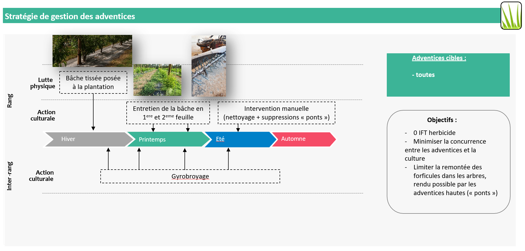 Stratégie de gestion des adventices - CTIFL