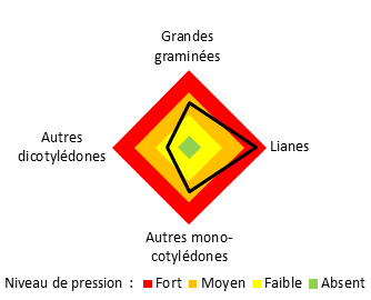 Pression d'adventices par grandes familles