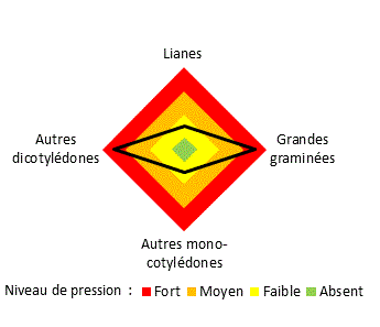 Pression d'enherbement par grandes familles d'adventices