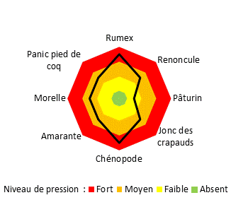 graphique adventices