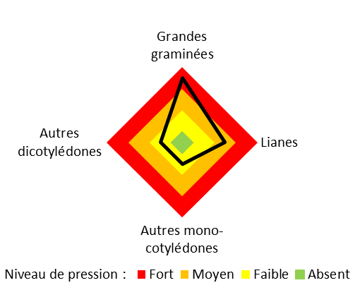Pression d'adventices