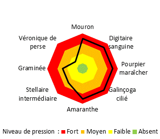 Graphique niveau de pression adventices sefersol
