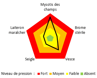 Principales adventices