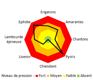 Les principales adventices sur le site de Montreuil-Bellay sont les épilobes, les pycris, et dans une moindre mesure les érigerons, les amarantes et la lampourde épineuse