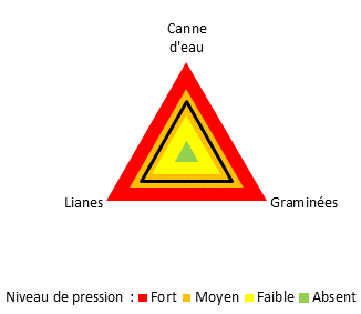 graphique adventices