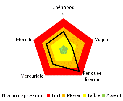 Graphique radar représentant la pression adventices