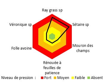 Graphique advantices