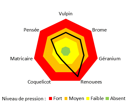Radar pression adventices