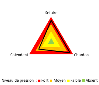 Une grosse pression en chiendent à été observée la première année ce qui à conduit à l'enlèvement de certaines bâches plastiques