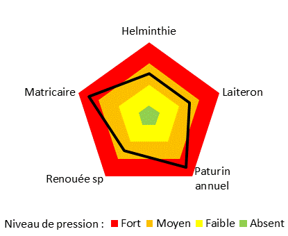 Niveau de pression adventices