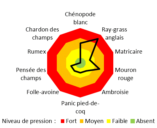 Graphique représentant la pression en adventices