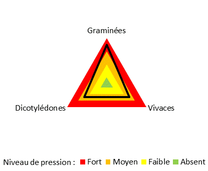 Pression importante des graminées