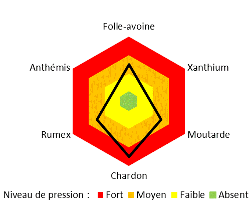 Graphique représentant le niveau de pression des adventices
