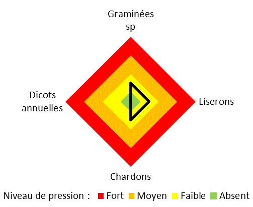 Graphique représentant le niveau de pression des adventices