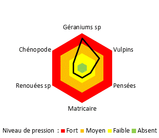 Graphique adventices