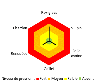 Graphique adventices