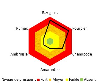 TAB_Système agroforestier_Adventice