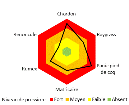 Le sallissement parfois important ,notament sur les parcelles sans labour est le facteur limitant le plus impactant.