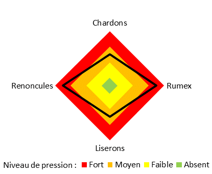 pression adventice site de Sées