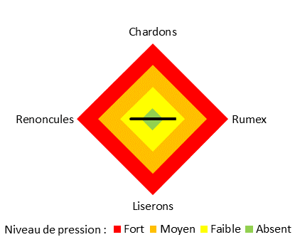 pression adventices_P76