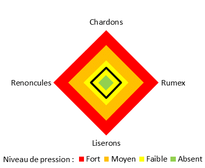 pression adventices domjean