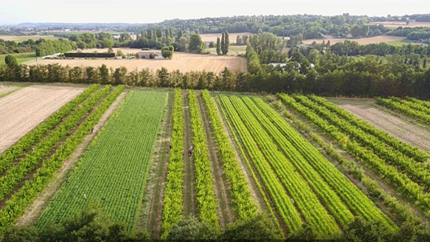 TAB_Système agroforestier_Vue aérienne Sud