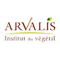 arvalis